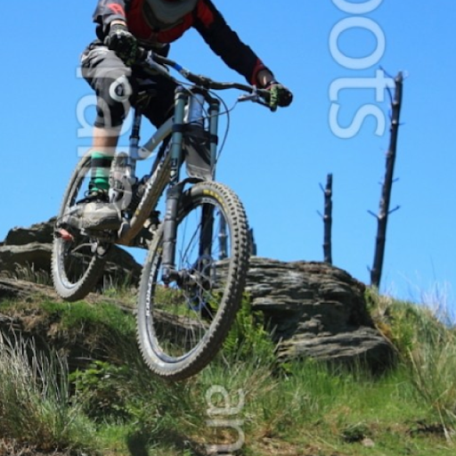 Harry Shaw Photo 33