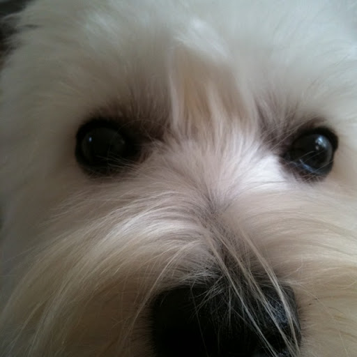 Debbie Rosier Photo 23