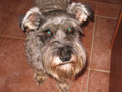 Ellen Frederick Photo 25