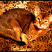 Thelma Browning Photo 8