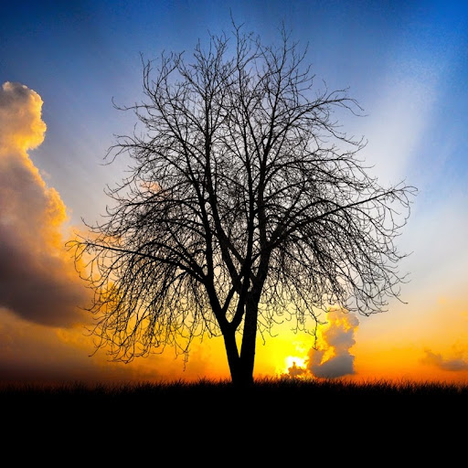 Jaime Colon Photo 32