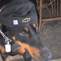 Frank Joseph Photo 30 Frank Joseph Photo 30