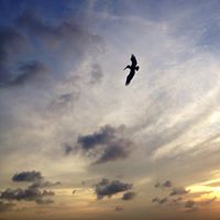 Therese Fischer Photo 11