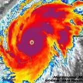 David Jenson Photo 27