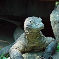 Sara Russell Photo 24