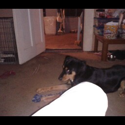 Rob Matteson Photo 6