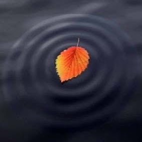 Johnny Moran Photo 10