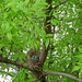 Robin Hatch Photo 35