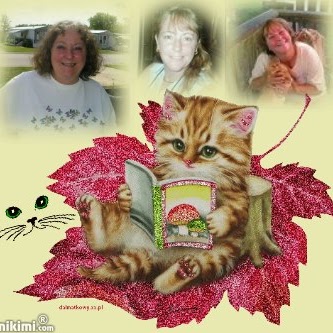 Debbie Evans Photo 37