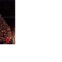 Jackson Moss Photo 14