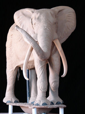 Steven Fair Photo 23