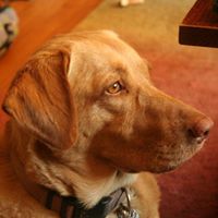 Barbara Mcintosh Photo 28