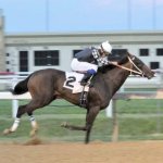 Phillip Wheeler Photo 1