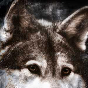 Elizabeth Rupp Photo 21