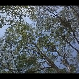 Noel Valencia Photo 6