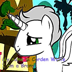 Corey Weiss Photo 20