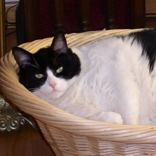 Linda Cottrell Photo 10