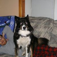 Gloria Simmons Photo 20