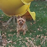 Robin Potter Photo 14