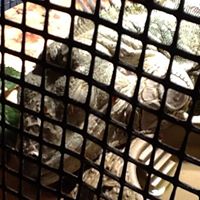 Stephen Brock Photo 9