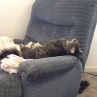 Frederick Welch Photo 12