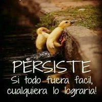 Mandy Pacheco Photo 14