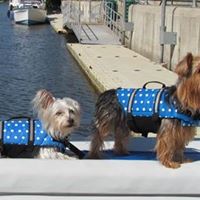 Cheryl Lamb Photo 18