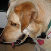 Mary Goodwin Photo 13 Mary Goodwin Photo 13