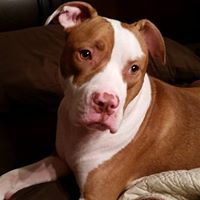 Annette Rushing Photo 19