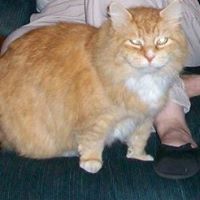 Susan Aldrich Photo 25