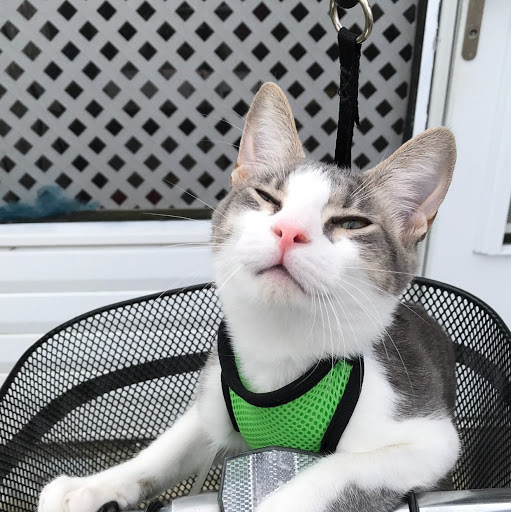 Cathy Rivera Photo 2