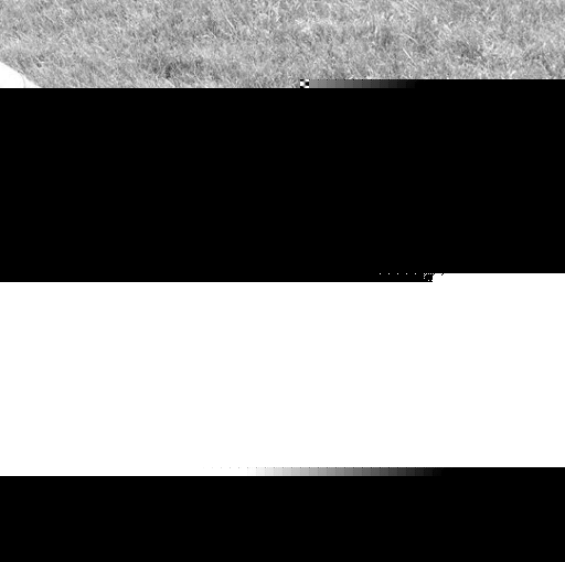 Tracy Parker Photo 36