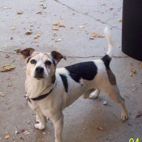 Carla Olson Photo 10