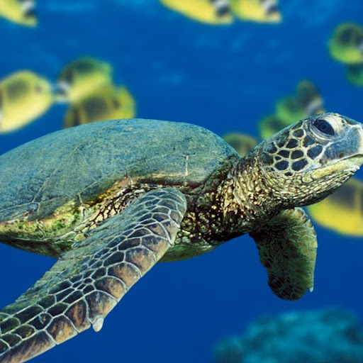 Sally Myers Photo 25