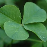 Kirsten Ingram Photo 8