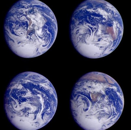 Denise Bruce Photo 14