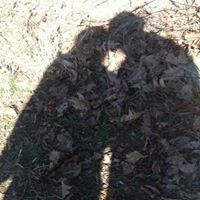 Marc Morrell Photo 2