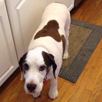 Gregory Simmons Photo 37