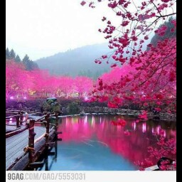 Denise Mosley Photo 26