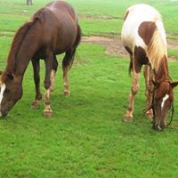 Shaun Walters Photo 11 Shaun Walters Photo 11