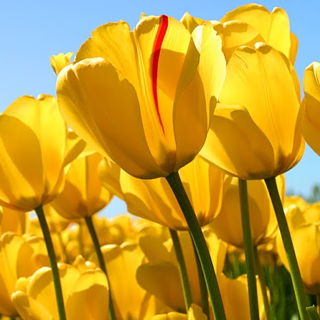 Rachel Pannell Photo 21