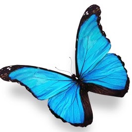 Kathy Mcgee Photo 15