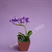 Thai Diep Photo 22
