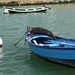 Brittany Seal Photo 15
