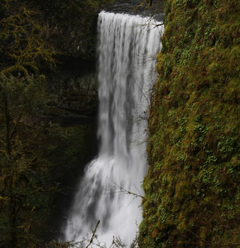 Michelle Corey Photo 12