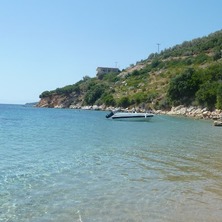 Neil Mccarthy Photo 27