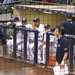 Chris Gallardo Photo 5