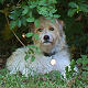 Catherine Brown Photo 9