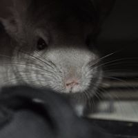 Paul Pitts Photo 12