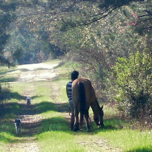 Cindy Barton Photo 13